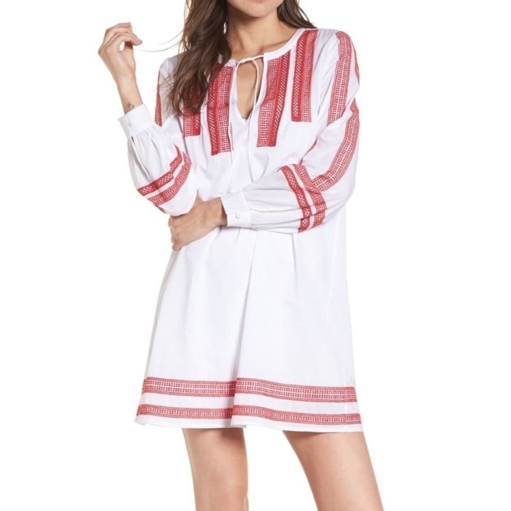 Hinge Embroidered Lace Mini Dress